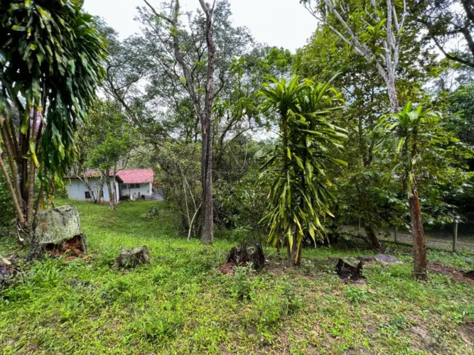 Chácara a venda Condomínio Recando dos Pinheirais - Bairro Torrão de Ouro 11.106 m²