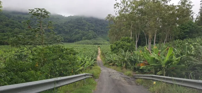 Sitio em Miracatu