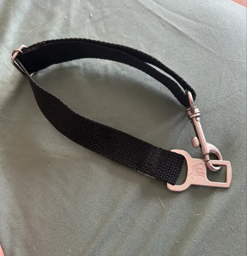 Cinto segurança para cachorro