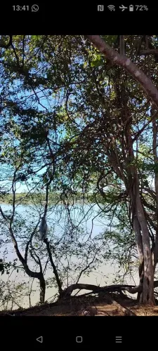 Terreno as margens do Rio São Francisco 