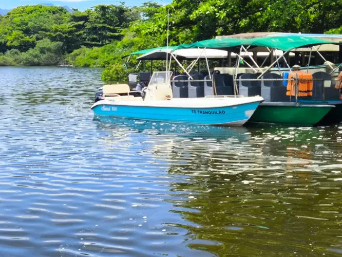Vendo lancha fishing 