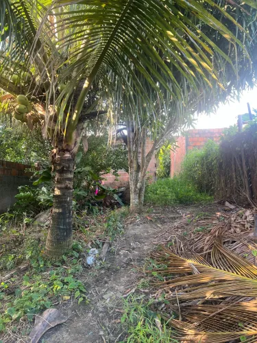 Vendo terreno com uma casinha!