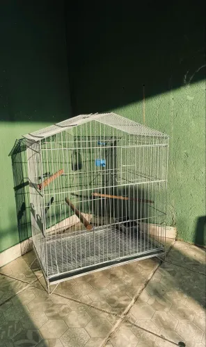 Gaiola para calopsita