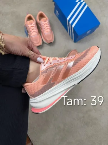 Tenis