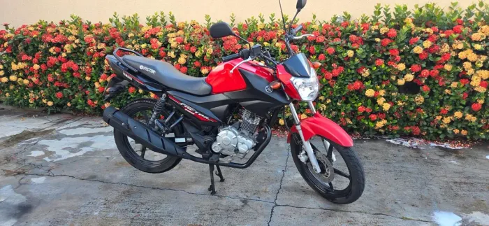Factor 150 completa
