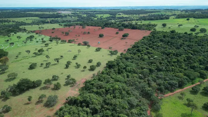 Fazenda à venda na Zona Rural de Uberlândia/MG