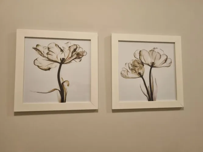 Quadros