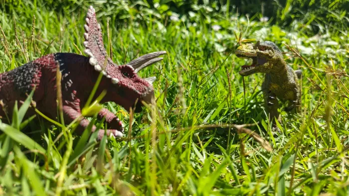 Kit bonecos pentaceratops vs Yutyrannus