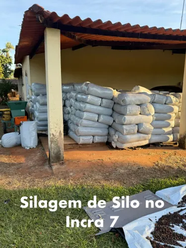Silagem de Milho (Silo)