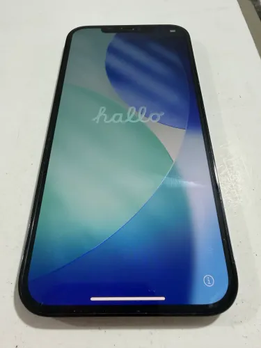 iPhone 12 Pro Max 256