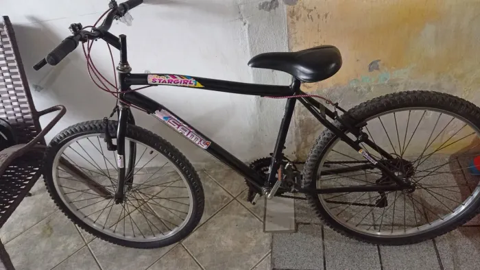 Bicicleta