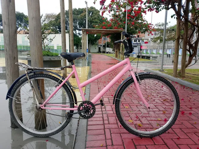 Vendo bicicleta feminina toda no rolamento e raiação inox
