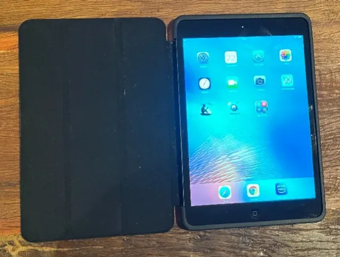 iPad mini 1G - a1454