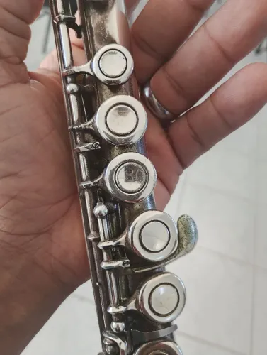 Faluta transversal Yamaha 31