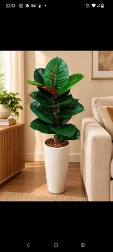 lindo vaso com folhas de jiboia gigantes permanentes