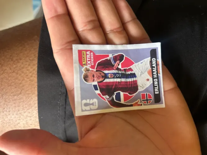 Figurinha panini