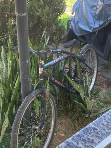 Bicicleta