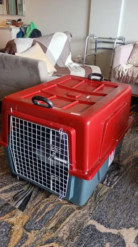 Caixa transportadora 