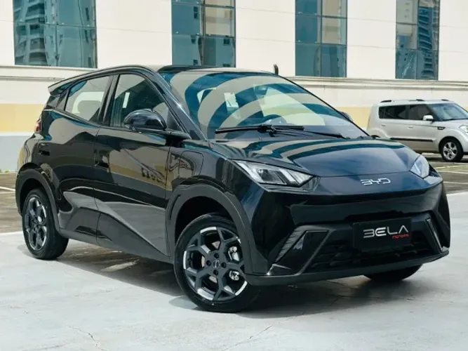 BYD Dolphin Mini (Elétrico) 2027