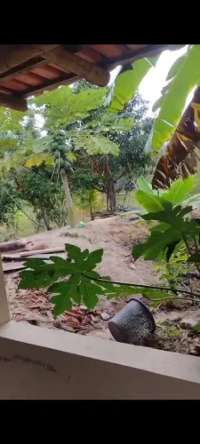 Sítio a venda