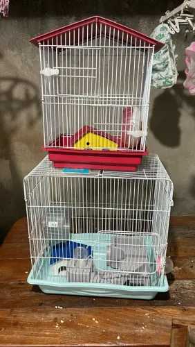 GAIOLA PARA HAMSTER E TUDO QUE VOCÊ PRECISA PRA TER UM