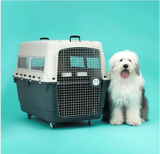 Caixa transporte de cães TAM 5