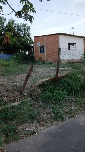 Lote