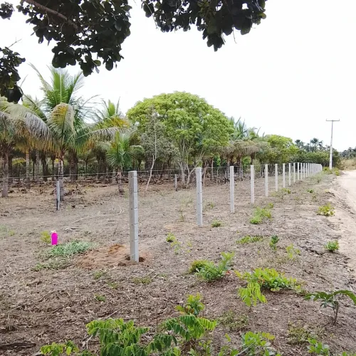 Vende um sítio de 23 hectares