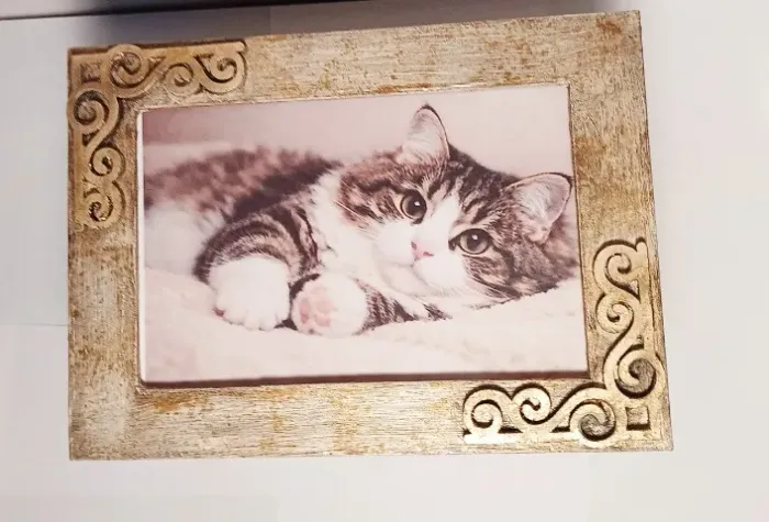 Urna (caixa) Cinzas Para Pets Com Foto