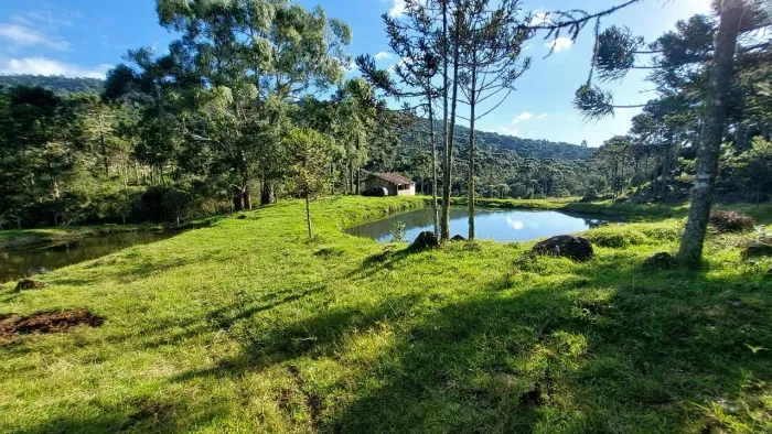 Chácara charmosa com vegetação nativa e araucárias na serra catarinense