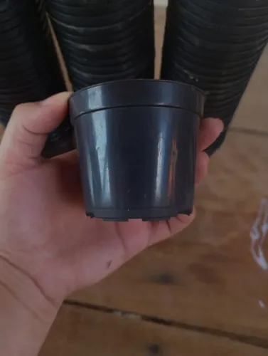 Vasos de plantas