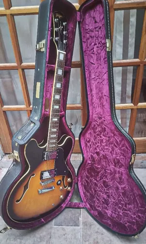 Guitarra Tagima Blues 3000