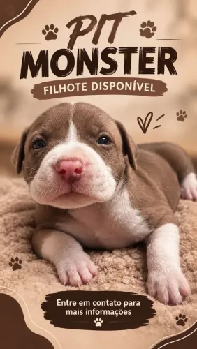 Filhotes de pit monster 