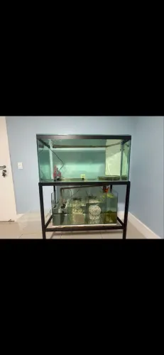 Aquário grande!