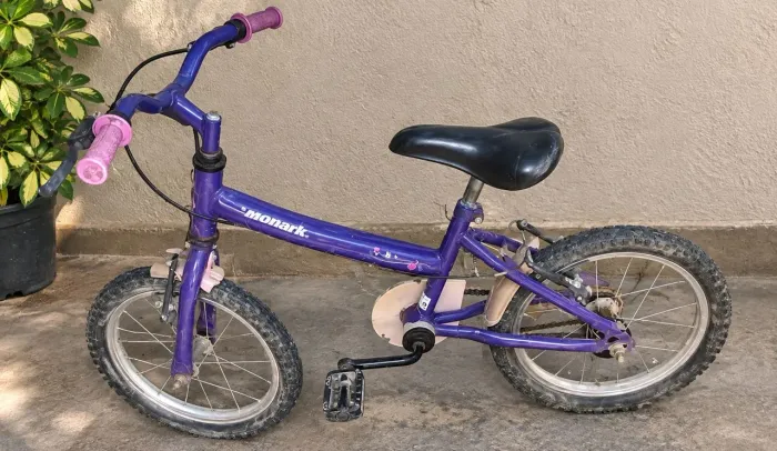 Bicicleta