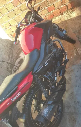 Factor 150 2020
