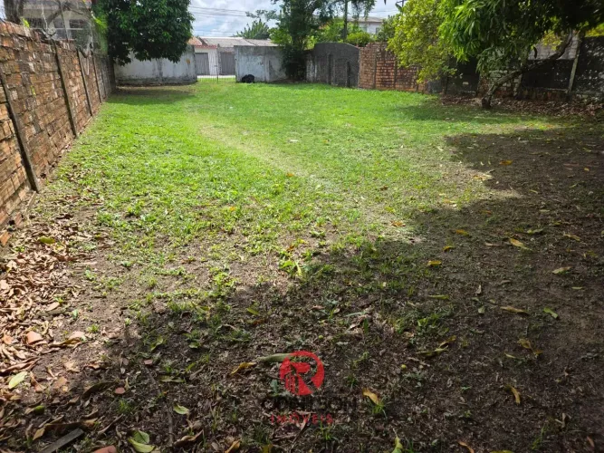 Terreno à venda, 15m x 65m, 975m2, localizado a 700m da Av. Mário Covas, Coqueiro, Belém/P
