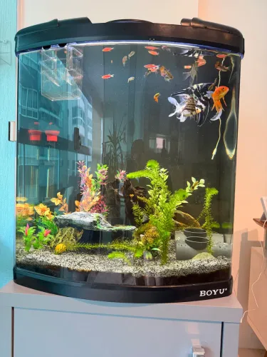 Aquário para peixes e armário.