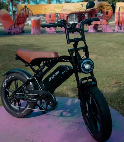 Bicicleta Elétrica V20 750W