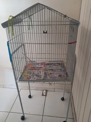 Gaiola para calopsita