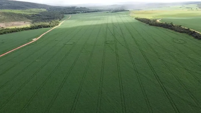 Vendo fazenda em São João da Aliança / Goiás!!!