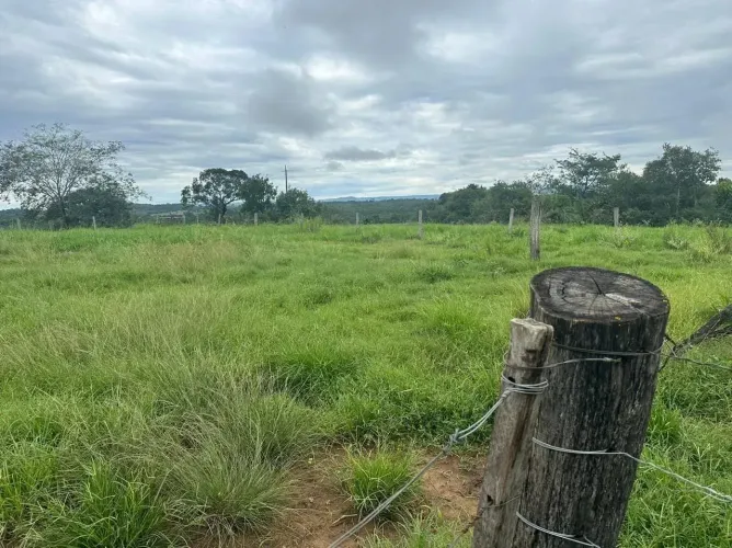 COD321- Fazenda 102 HECTARES- ROCHEDO/MS.