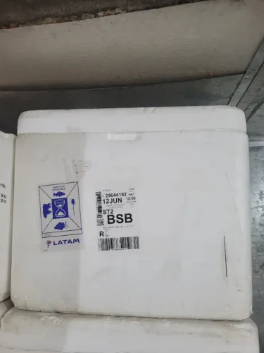 Caixas de isopor usadas em bom estado 100lts reforçada valor 30,00