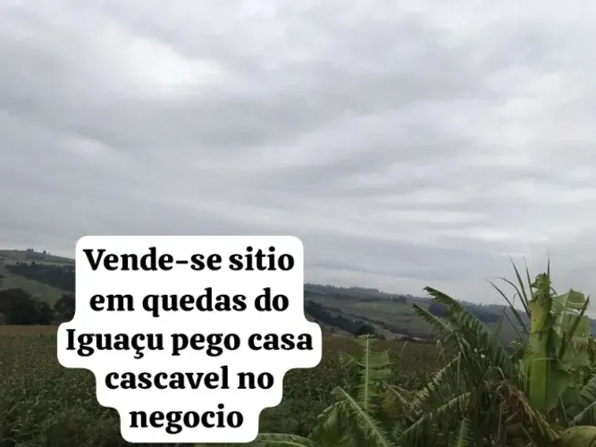 Vende-se sitio em Quedas do Iguaçu, 7 alqueires