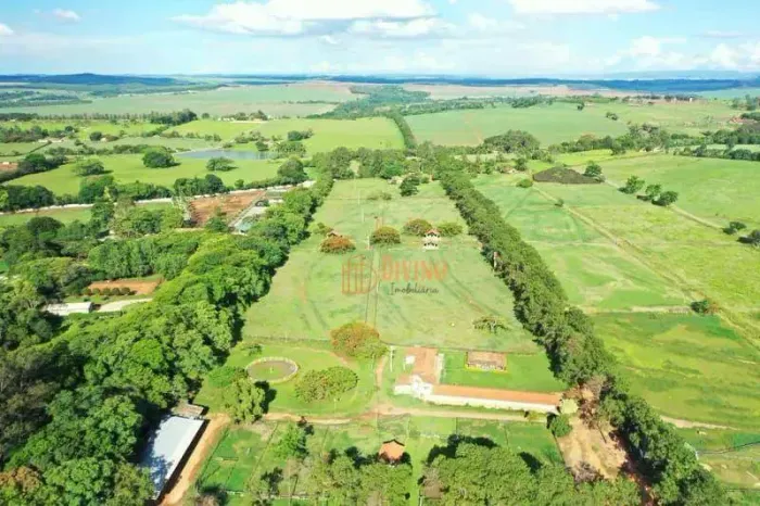 Haras de Alto Padrão e Produção de Feno  Porto Feliz/SP
