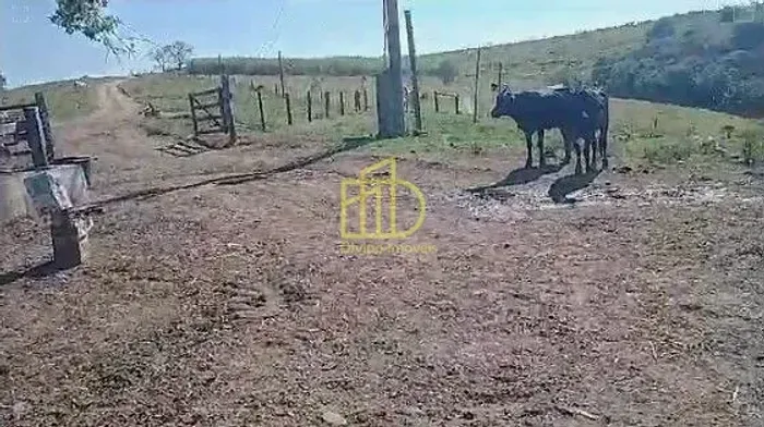 Fazenda à venda, 67 Alqueires por R$ 16.000.000 - Área Rural - Itapetininga/SP