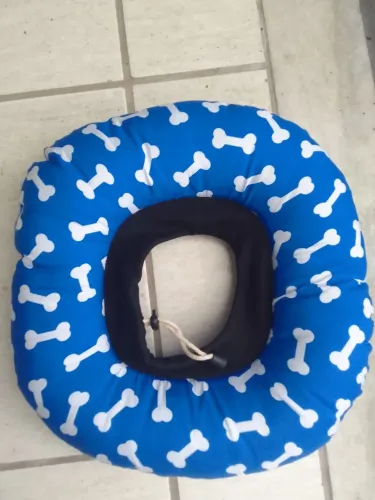 Colar protetor para cães