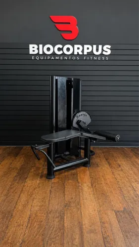 Mesa flexora Seminova