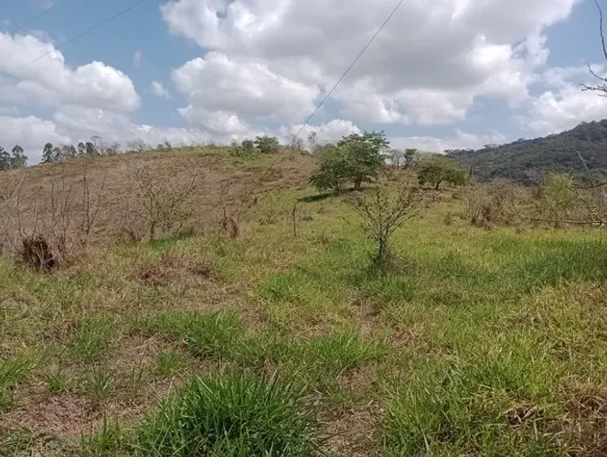 Vendo sitio 14.7 hectares