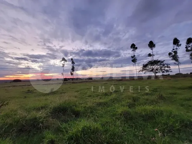 Sítio com 75.000m², Topografia plana, 4 km do Trevo da Petrobras - Uberlândia